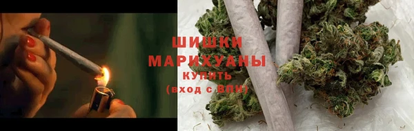 прущие грибы Алзамай