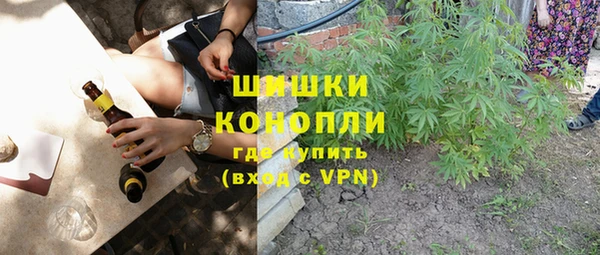 прущие грибы Алзамай