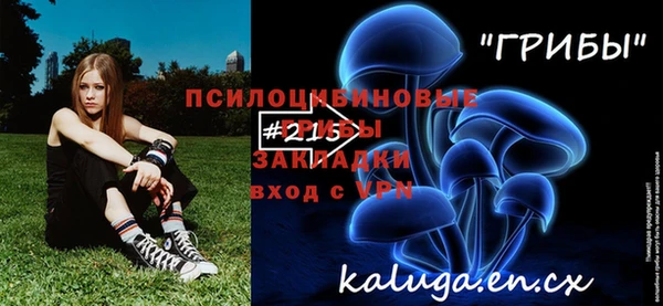 mix Алексин