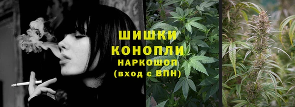 прущие грибы Алзамай