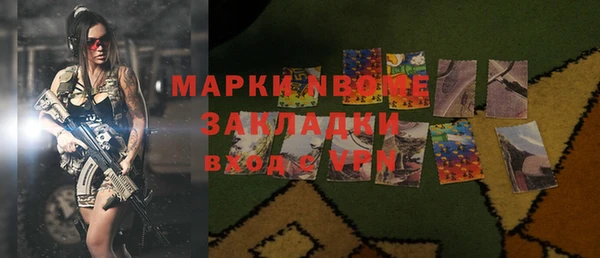 прущие грибы Алзамай