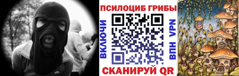 Купить  Саратов  Галлюциногенные грибы прущие грибы 